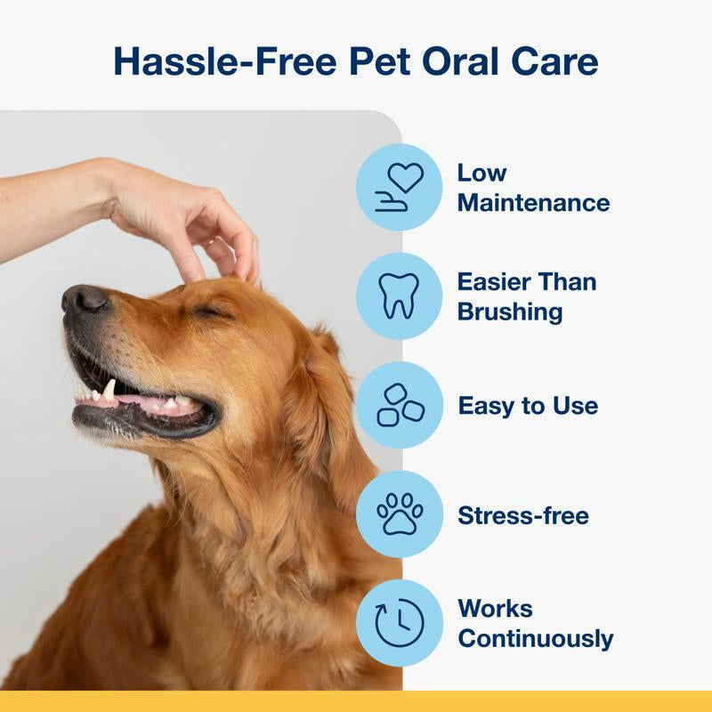 PlaqueAway – Fresh Breath. Healthy Smile. 100% Natural.