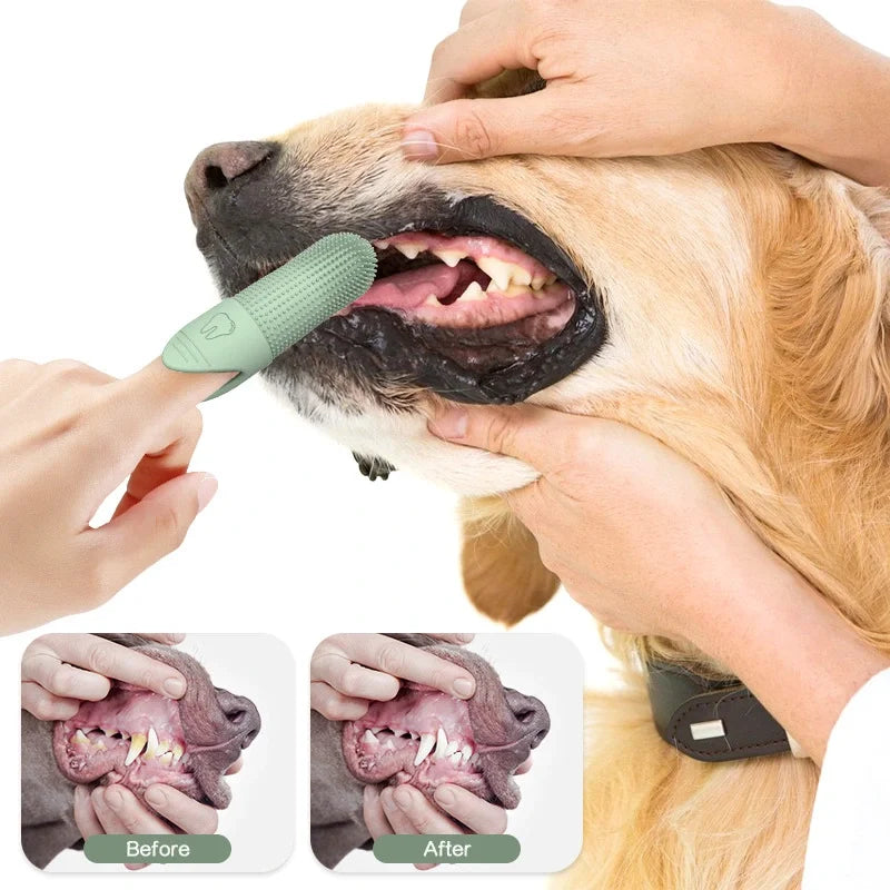 Fang360