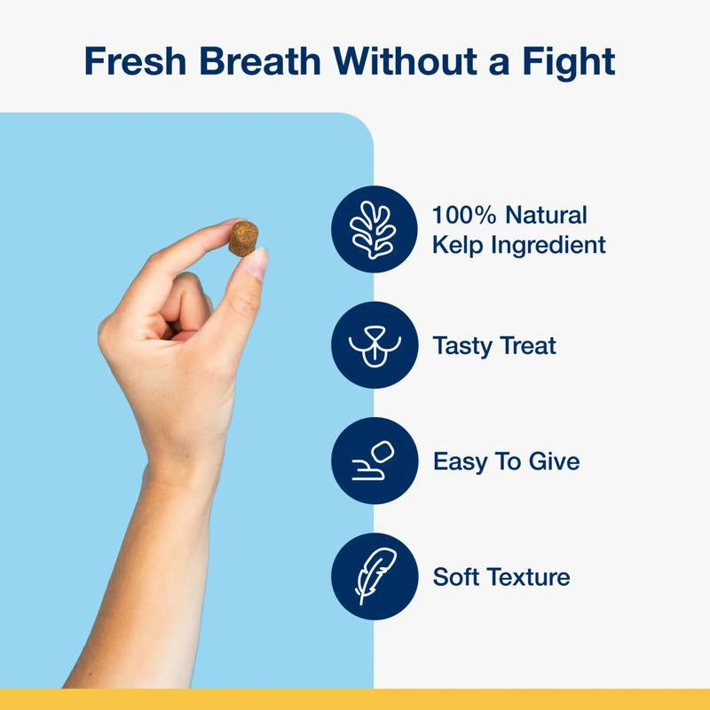 PlaqueAway – Fresh Breath. Healthy Smile. 100% Natural.